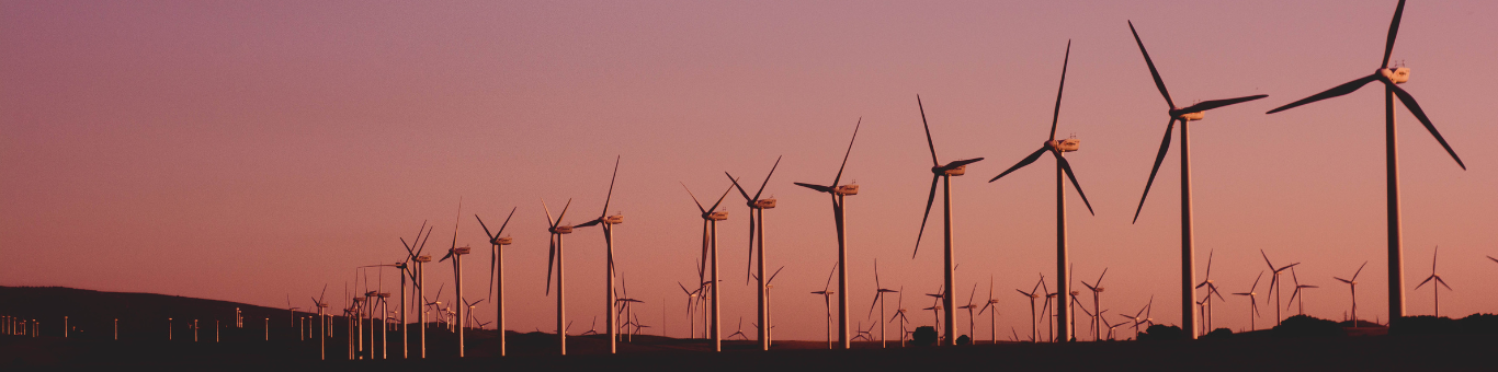 Website Mining Banner (1)